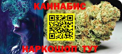 индика Кандалакша