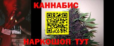 индика Кандалакша
