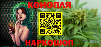 индика Кандалакша