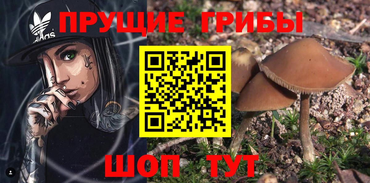 Псилоцибиновые грибы мухоморы  Галлюциногенные грибы MAGIC MUSHROOMS  Кулебаки  Вход с VPN 