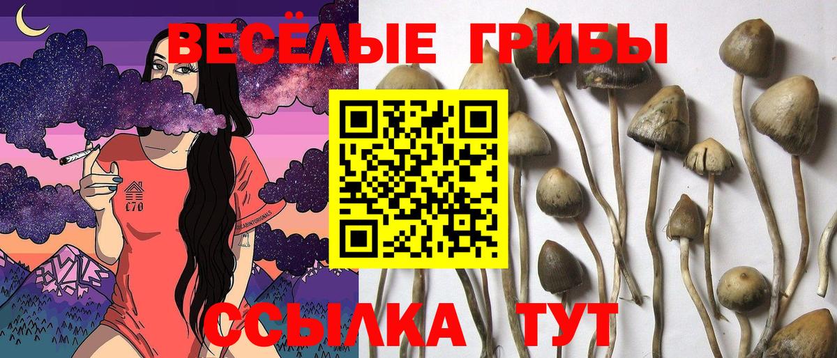 Галлюциногенные грибы ЛСД Кулебаки